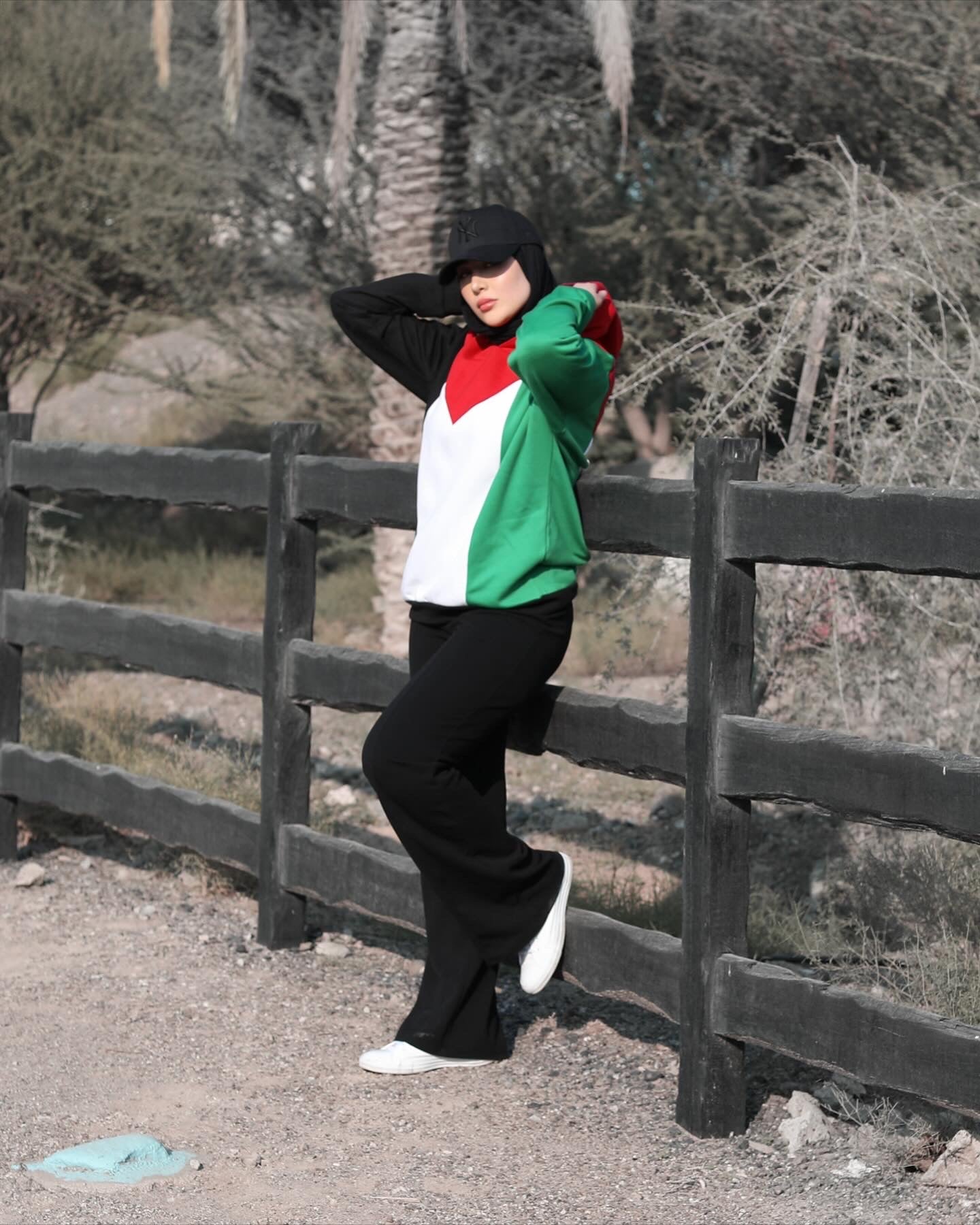 Palestine Flag Hoodie