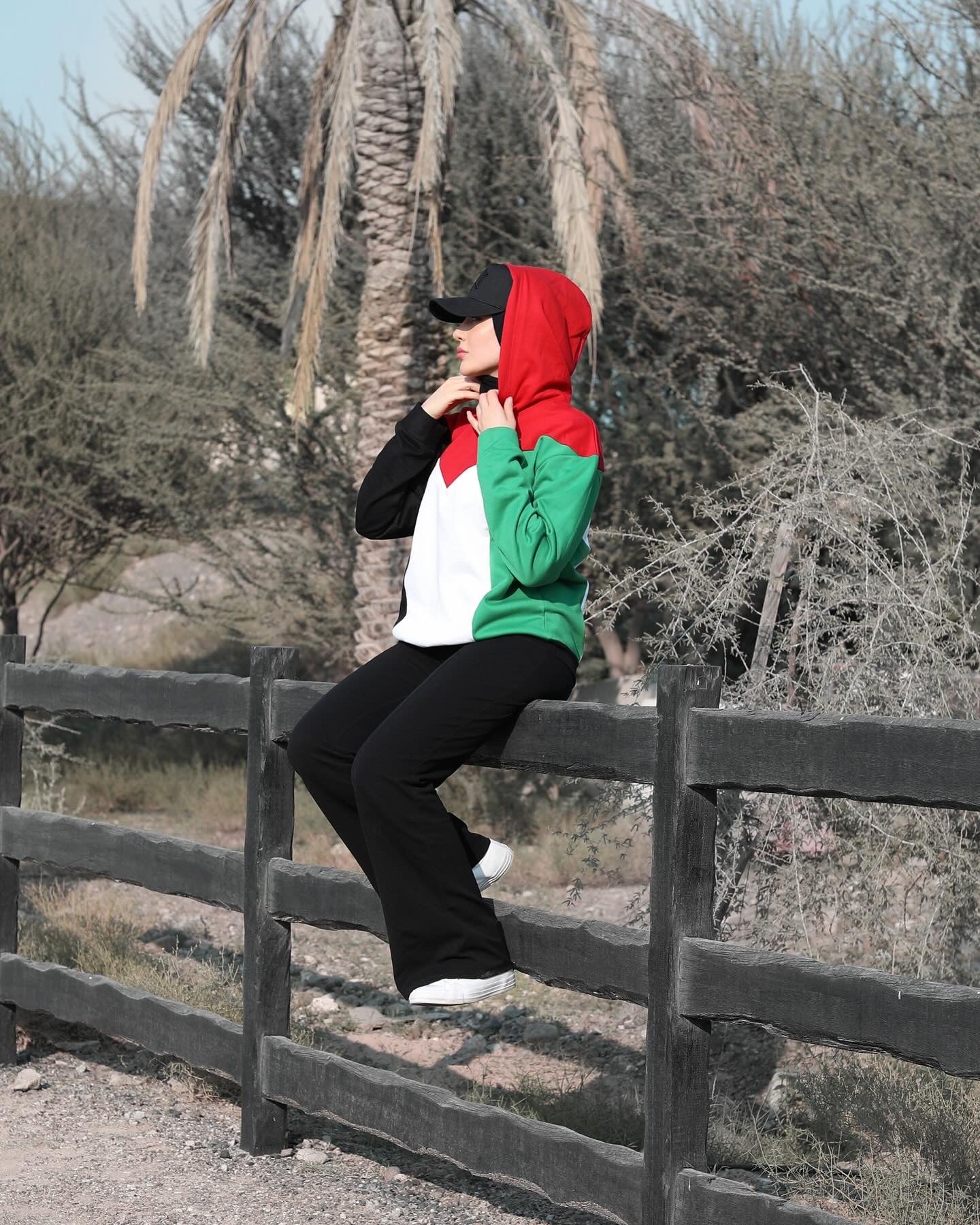 Palestine Flag Hoodie