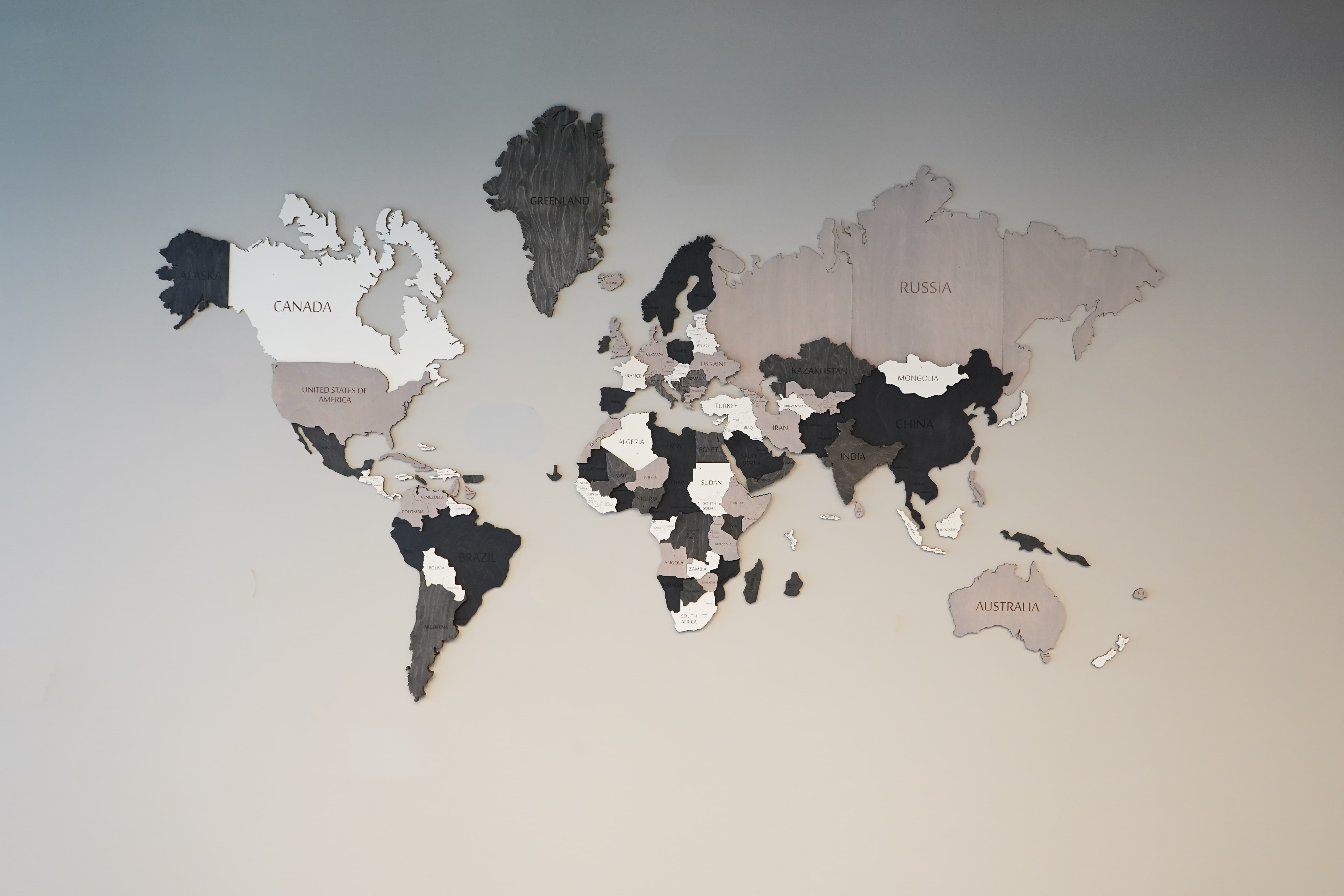 3D Black and White Wooden World Map