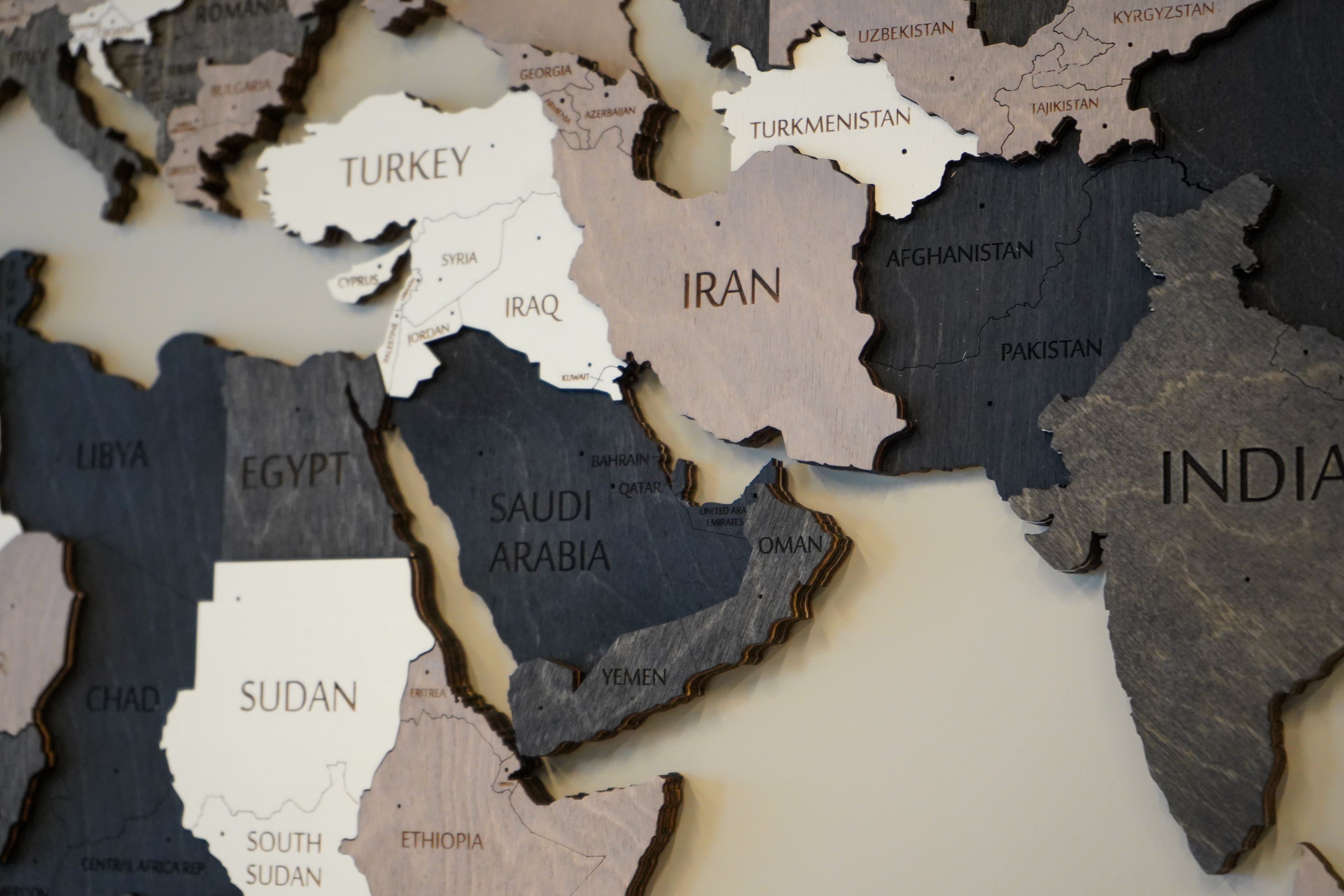 3D Black and White Wooden World Map