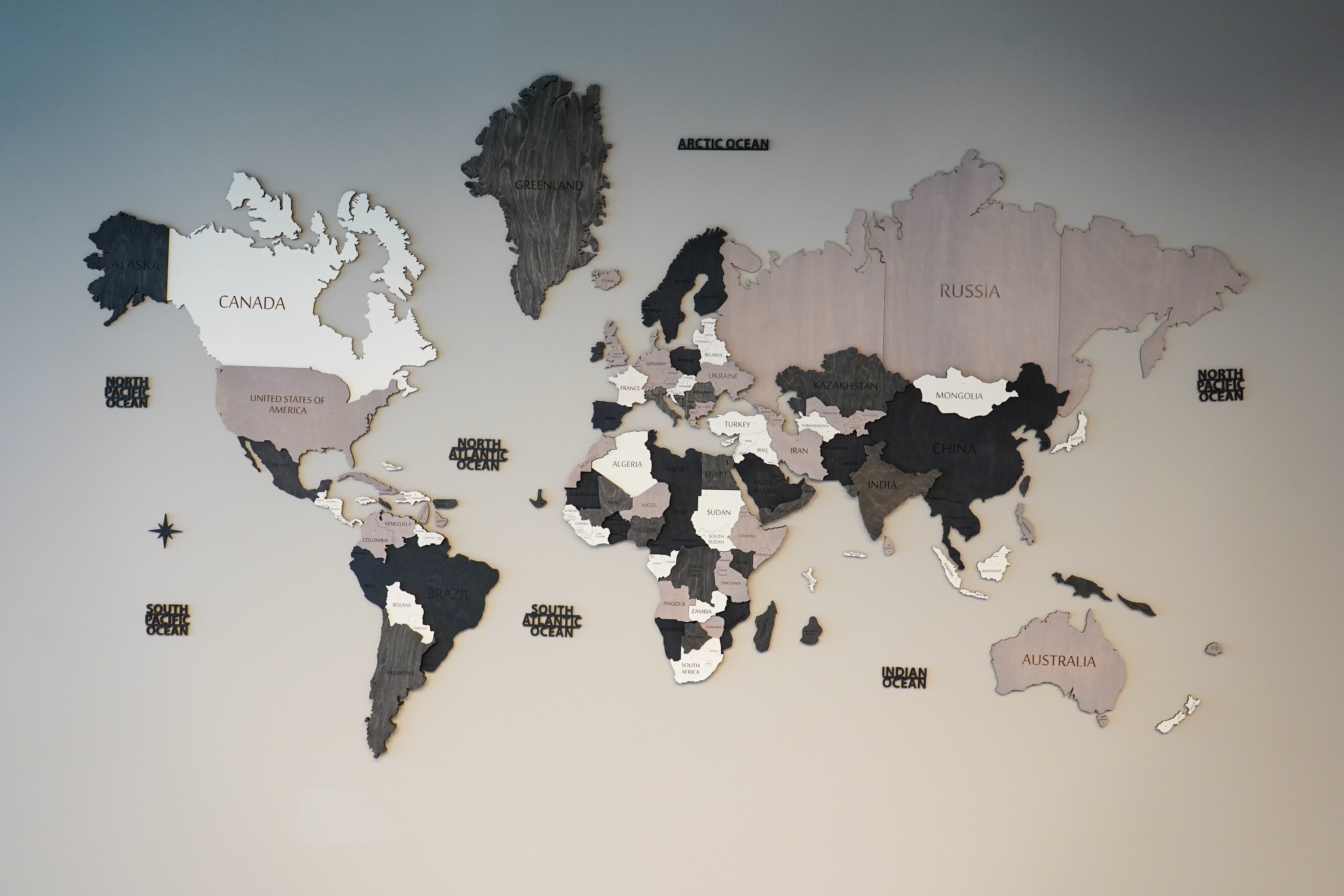 3D Black and White Wooden World Map