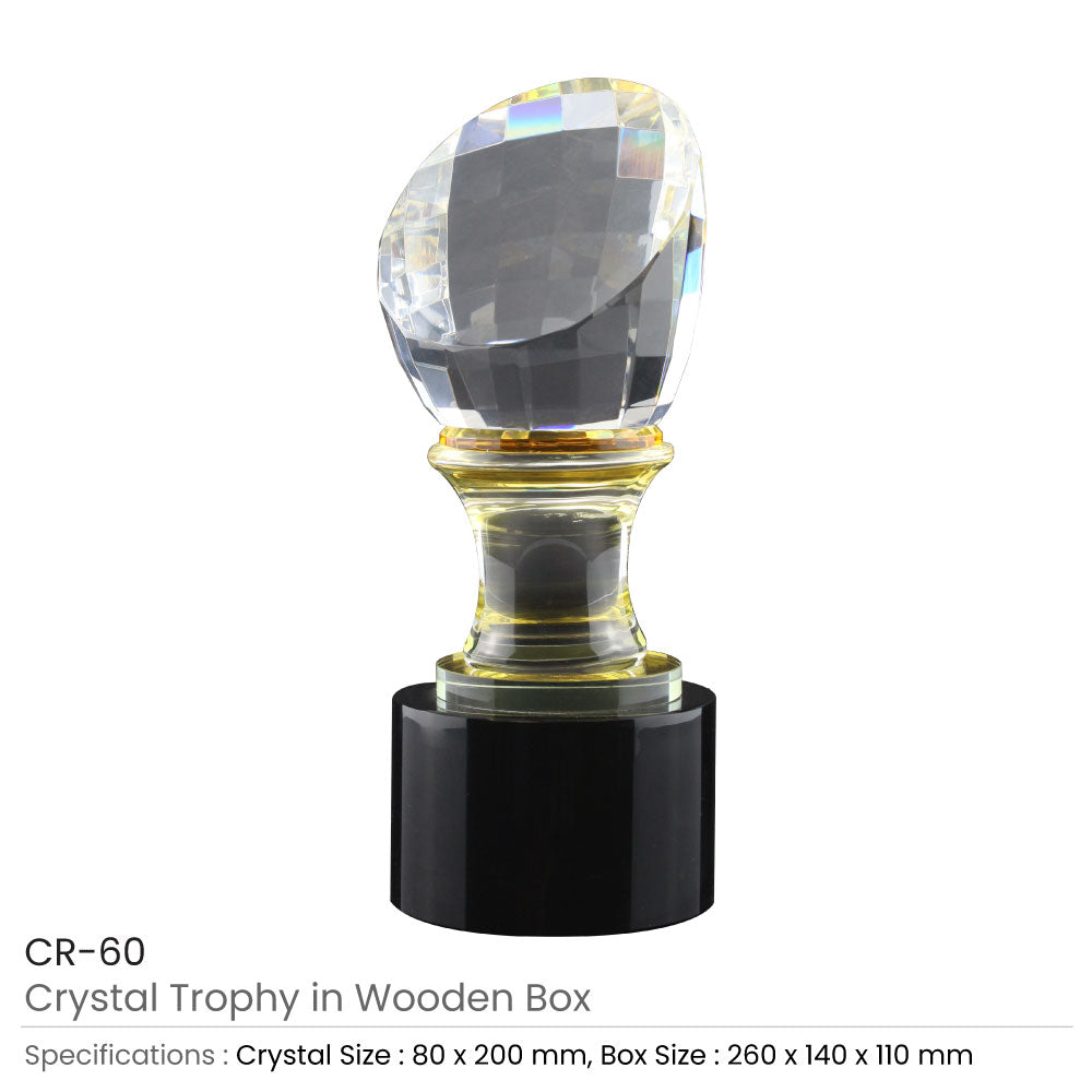 Crystal Trophy in Wooden Box