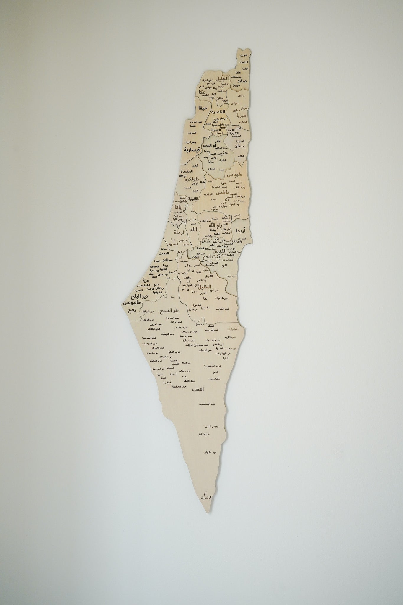 3D Palestine Wooden Map Wall Art
