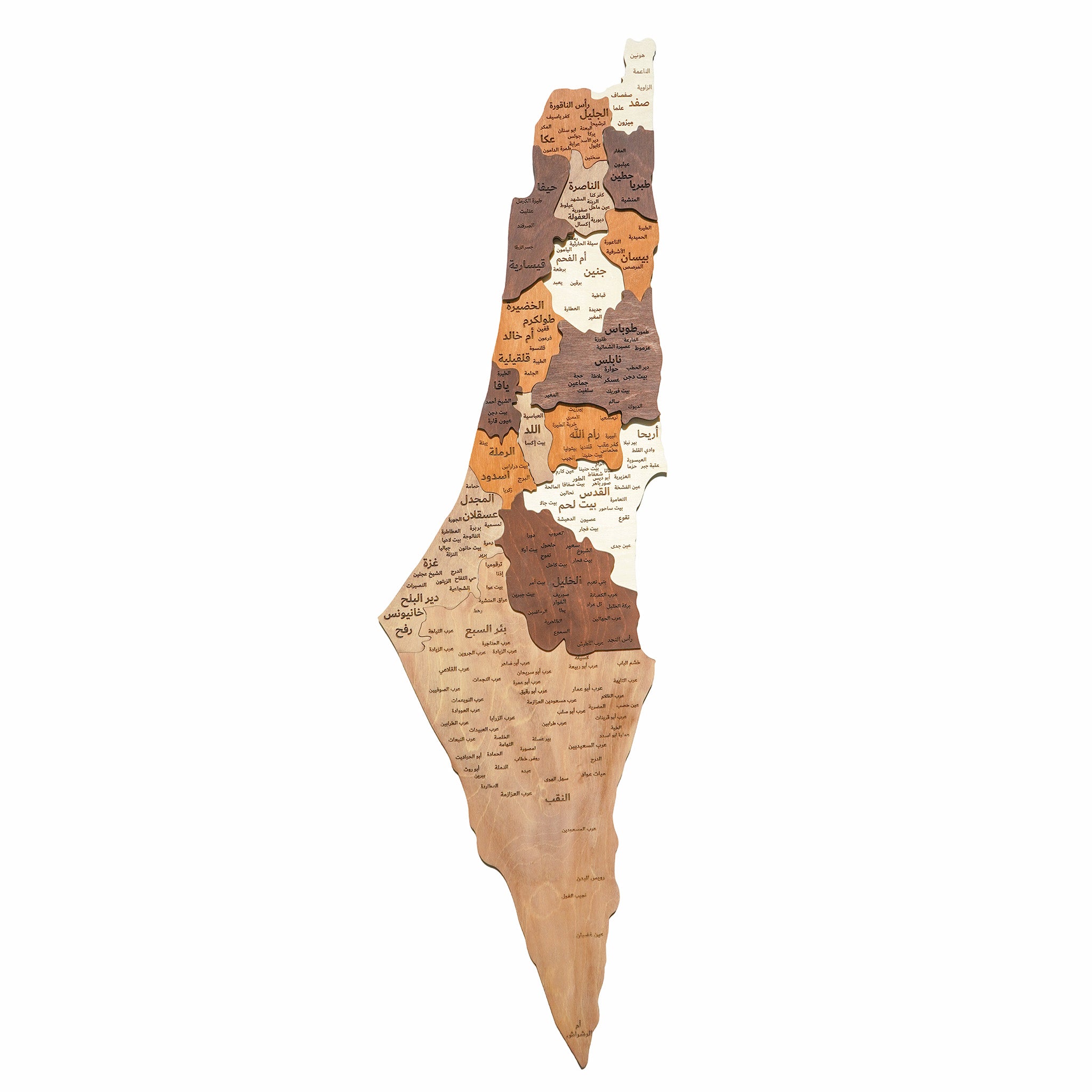 3D Palestine Wooden Map Wall Art