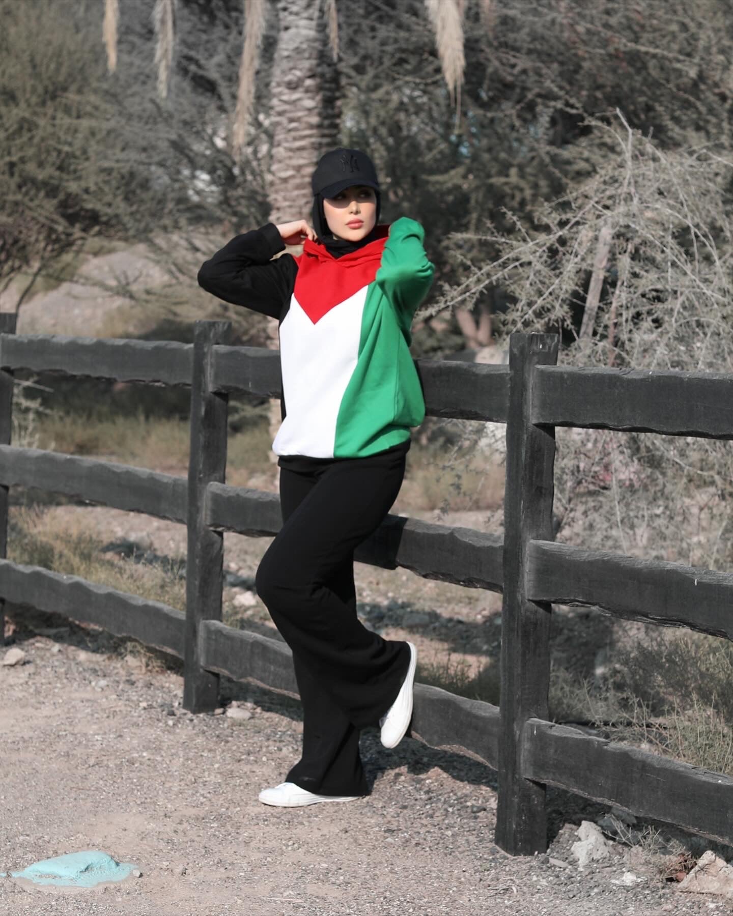 Palestine Flag Hoodie