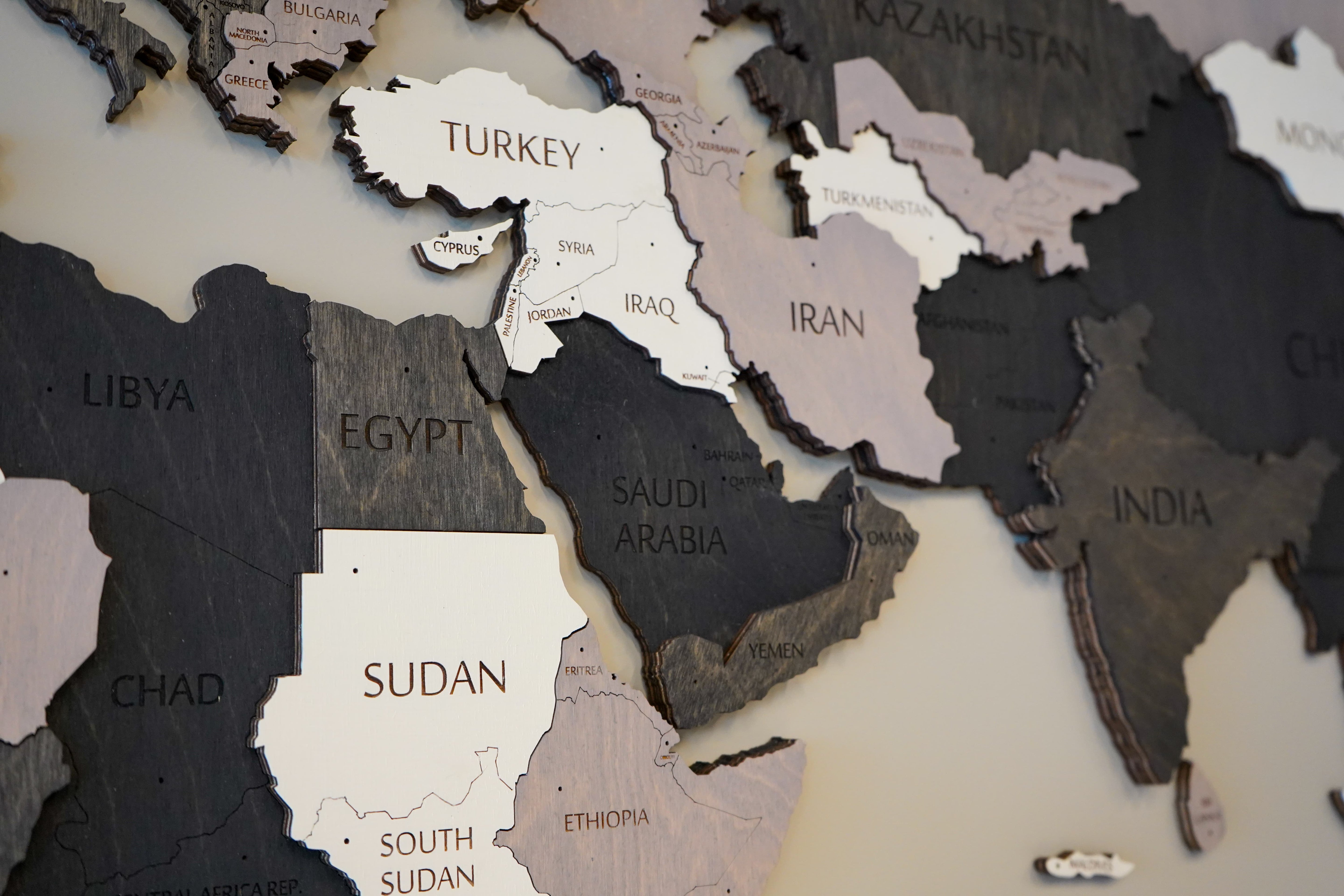 3D Black and White Wooden World Map