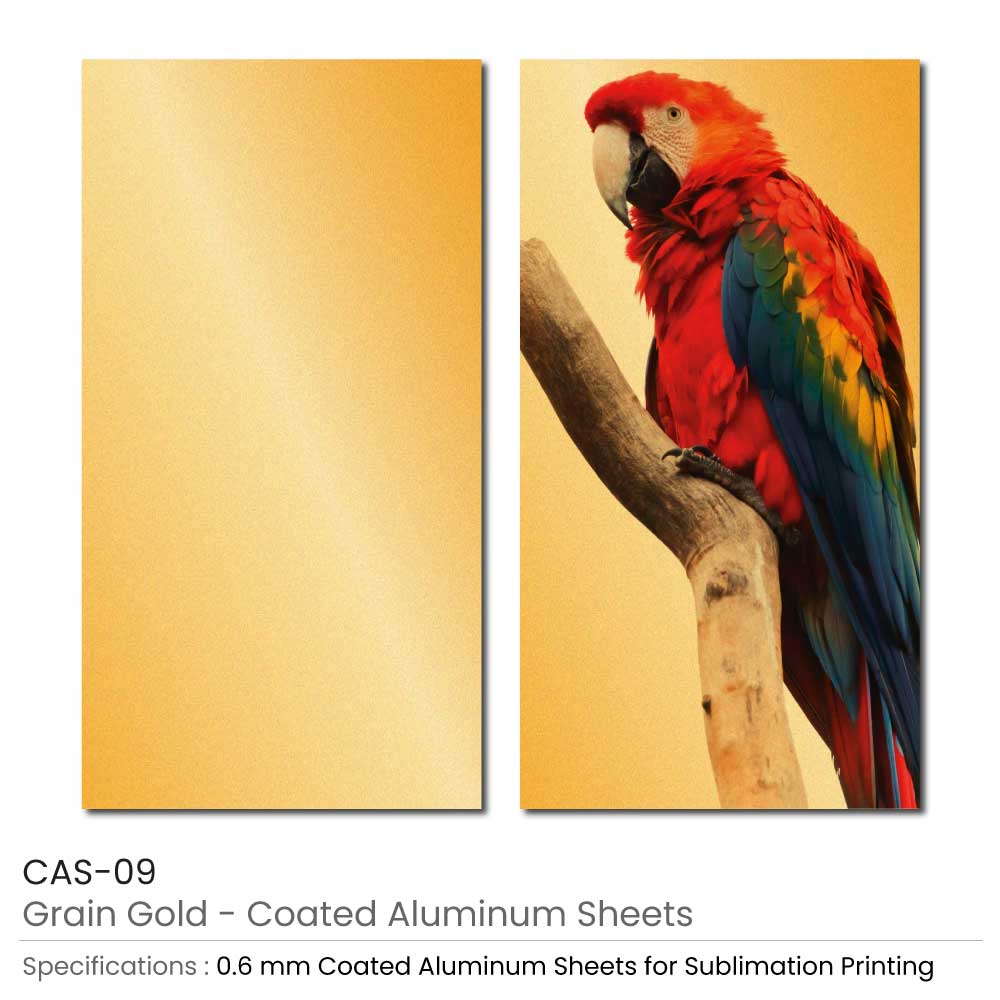 Coated Aluminum Sheets For Indoor & Outdoor Display