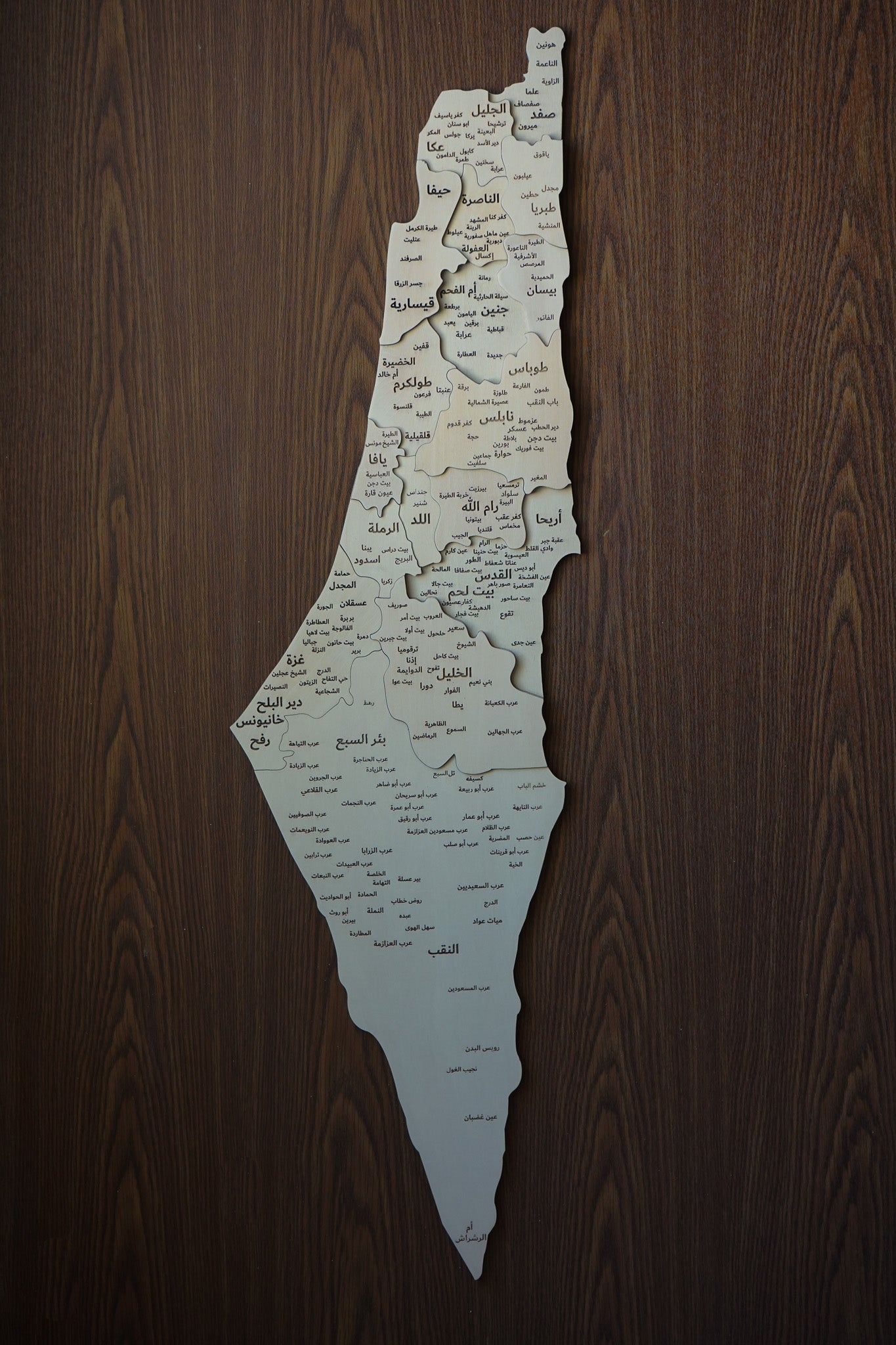 3D Palestine Wooden Map Wall Art