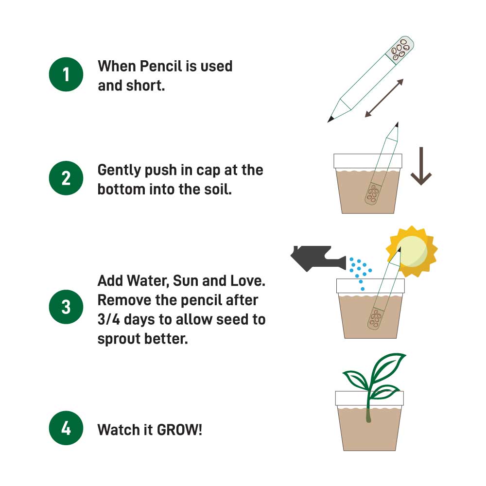 Plant A Pencil Kit