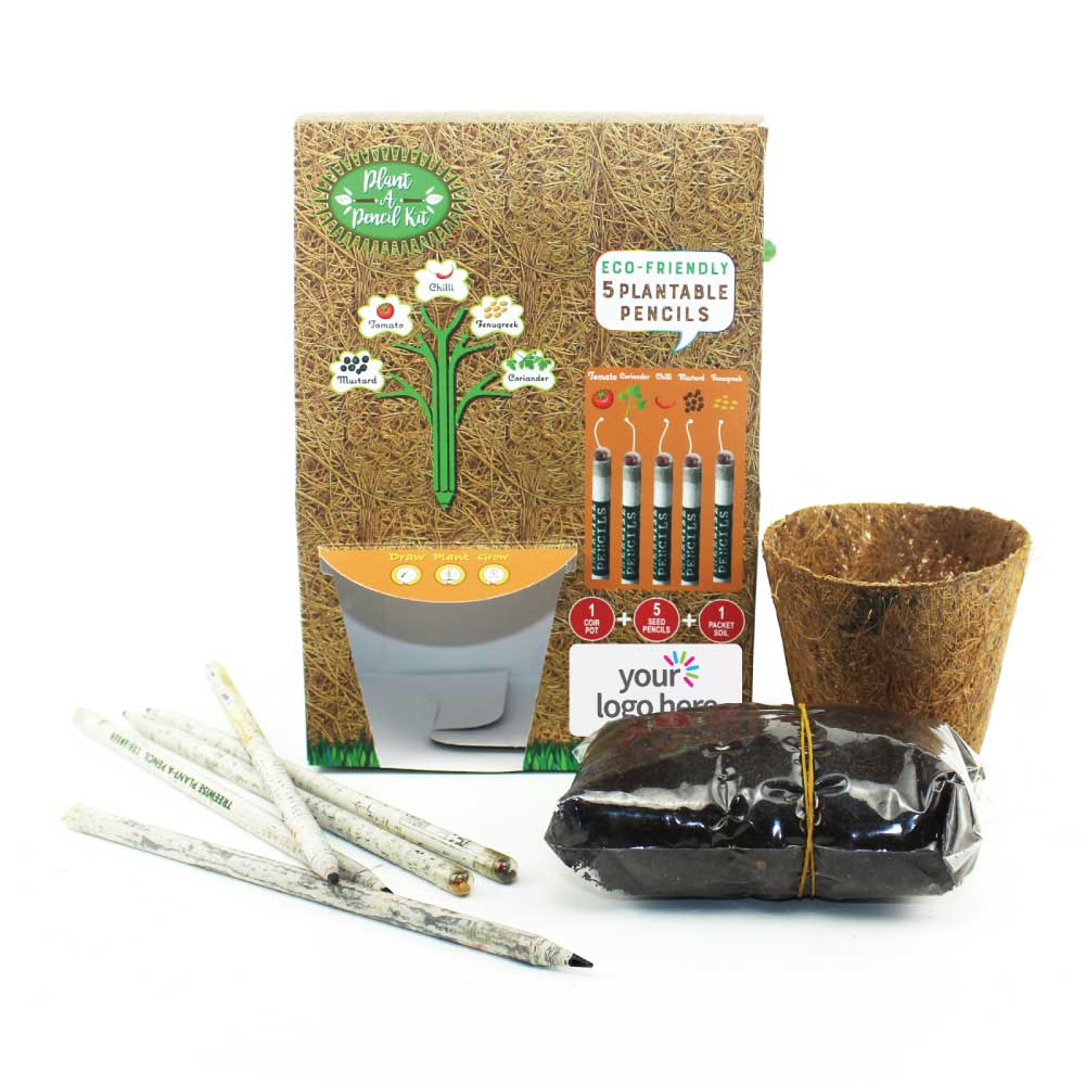 Plant A Pencil Kit