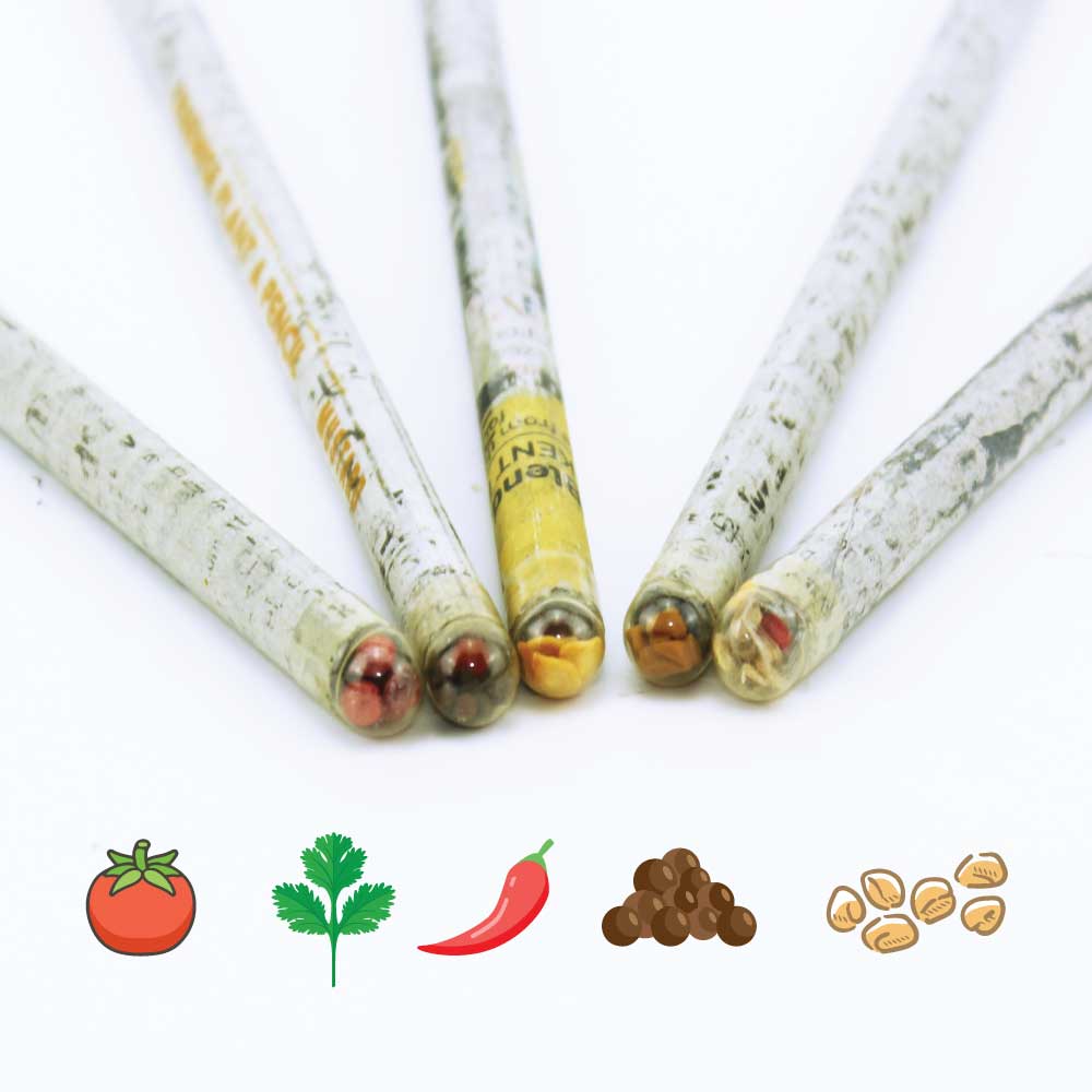 Plantable A Pencils Set