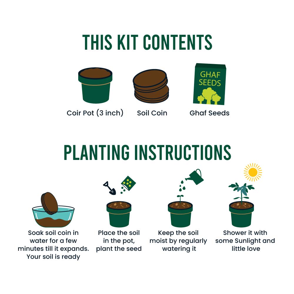 Plantable Kit with GHAF Seeds in Kraft Box