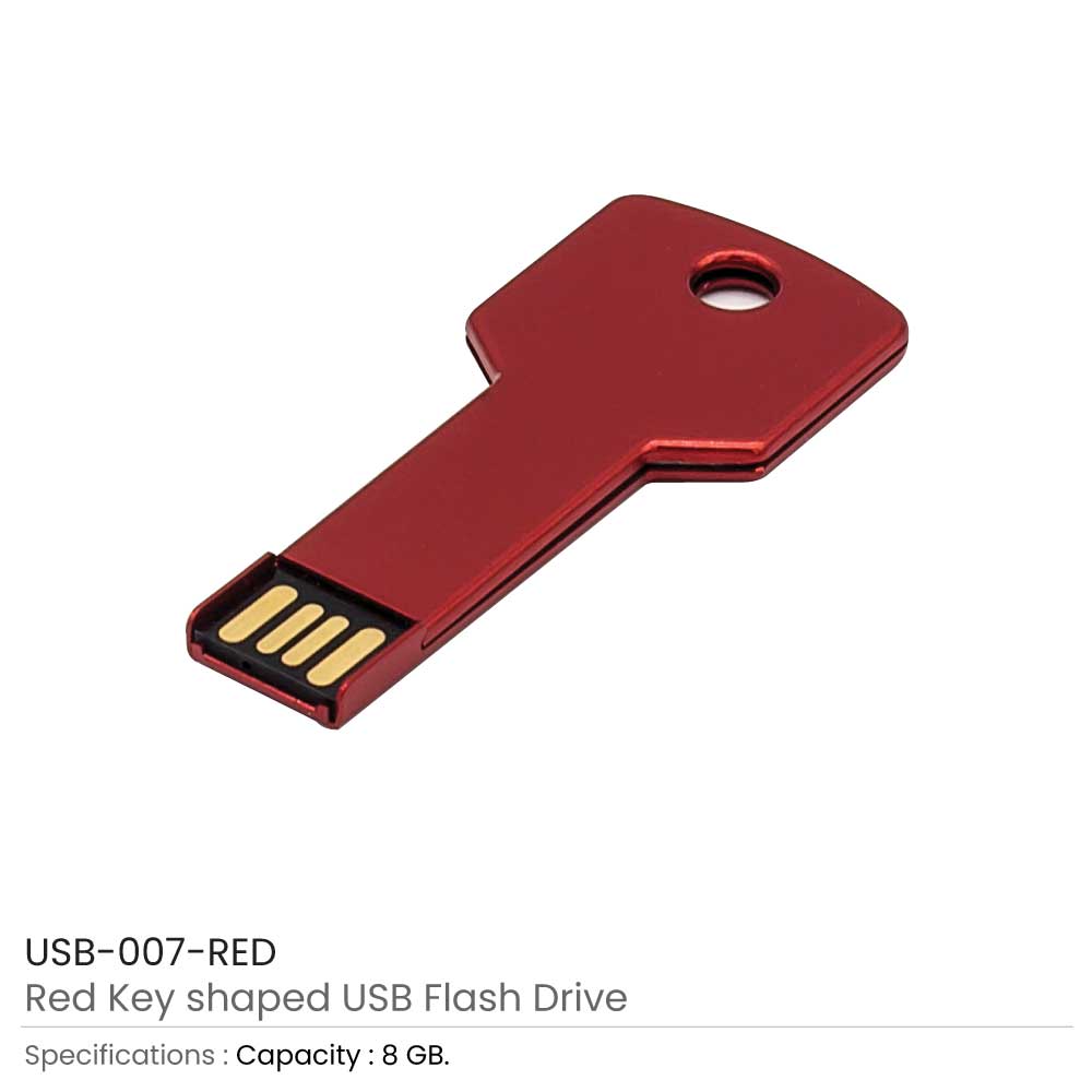 Key Shaped USB Flash Drives