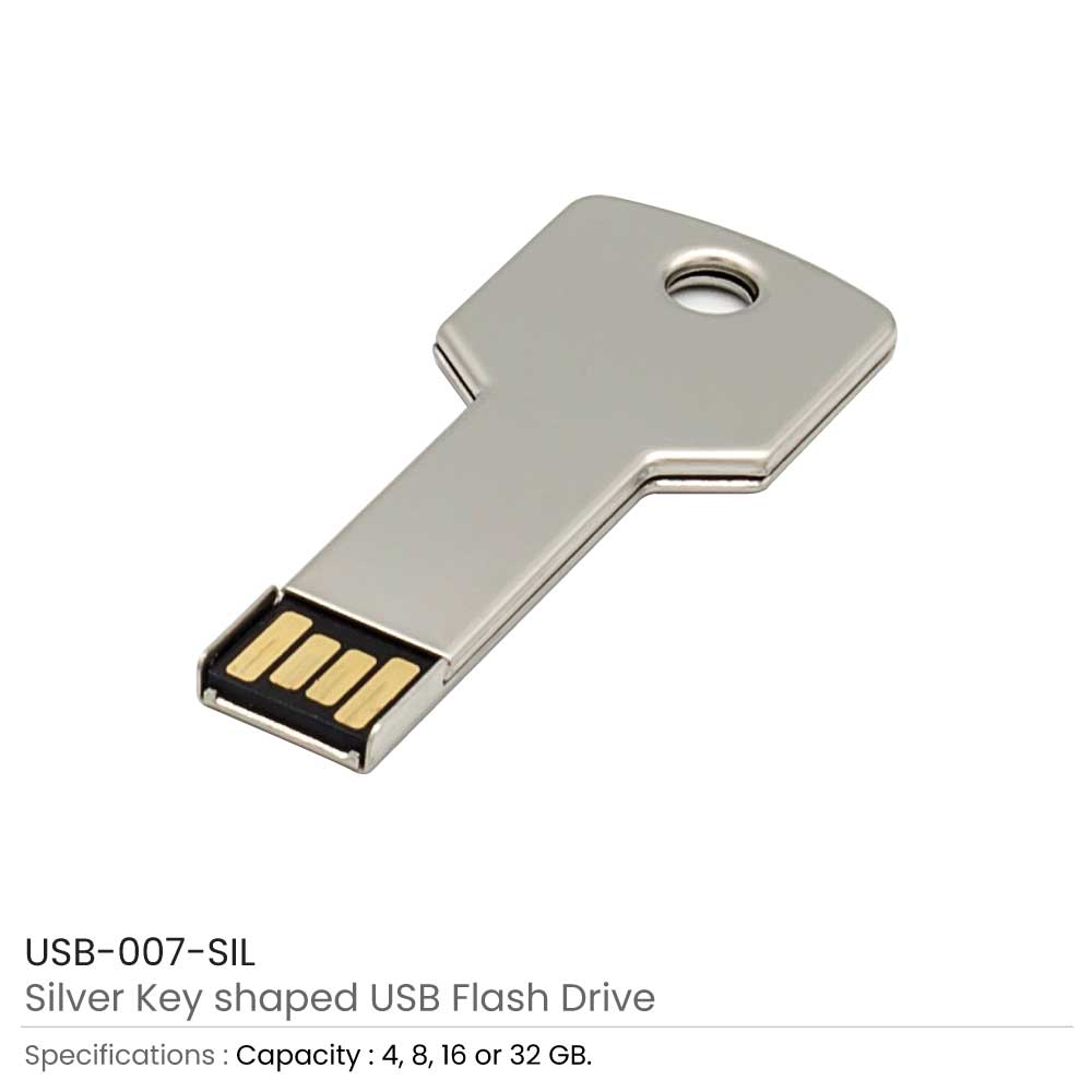 Key Shaped USB Flash Drives