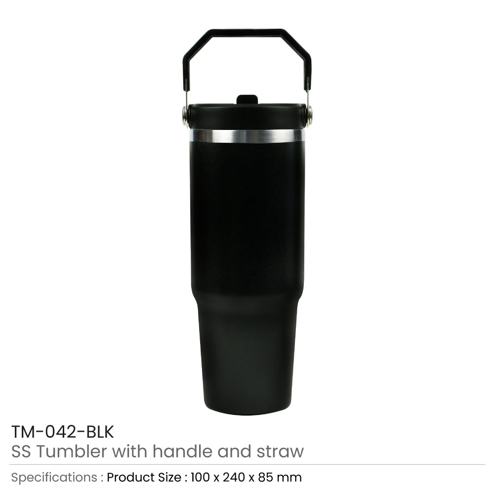 Tumbler with Handle and Straw SS Double Wall 900ml