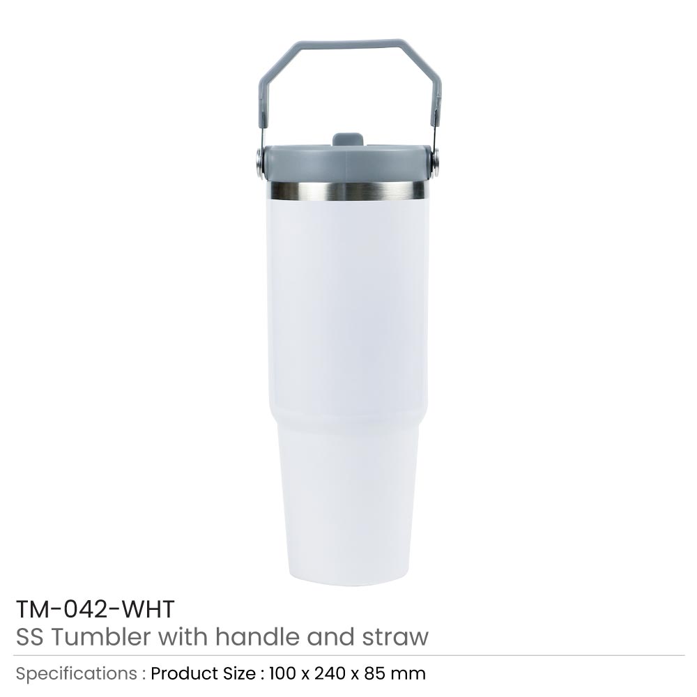 Tumbler with Handle and Straw SS Double Wall 900ml