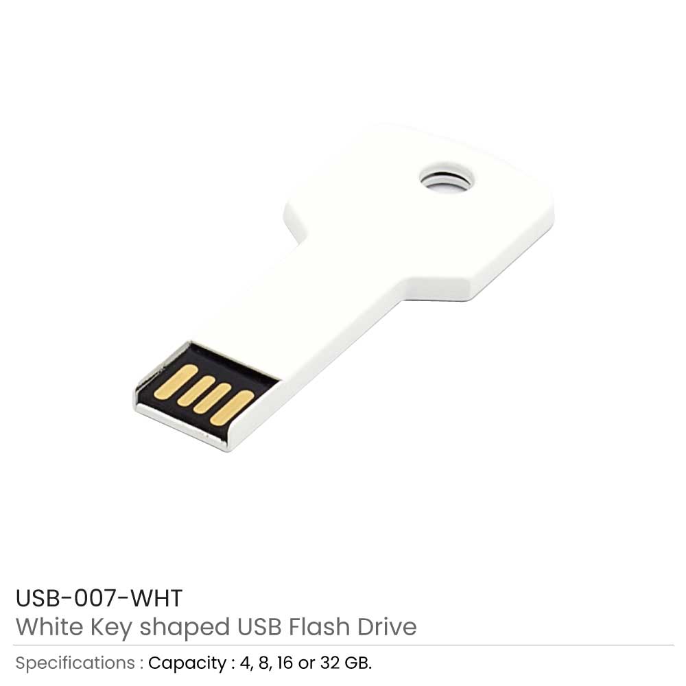 Key Shaped USB Flash Drives